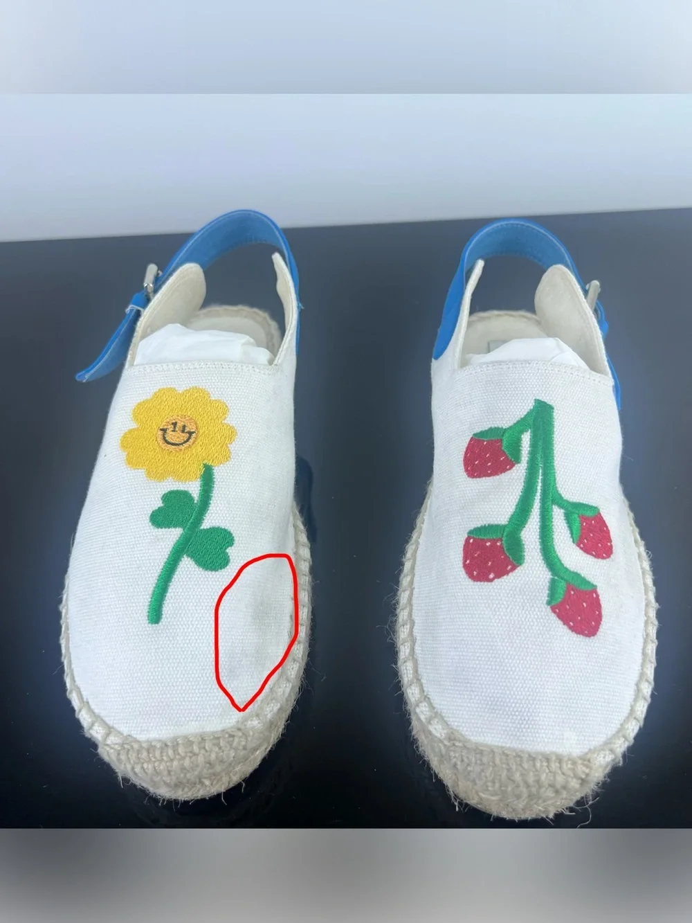 Stella McCartney Kids Girls Flower and Strawberry Embroidered Espadrilles/Shoes